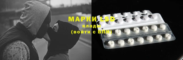 ПСИЛОЦИБИНОВЫЕ ГРИБЫ Алексин