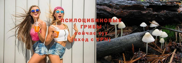 стафф Алзамай