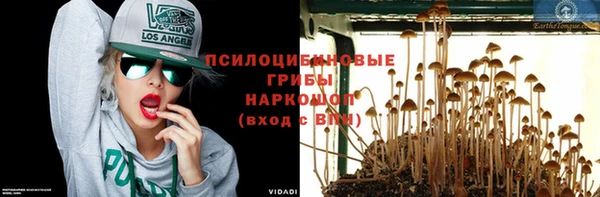 стафф Алзамай